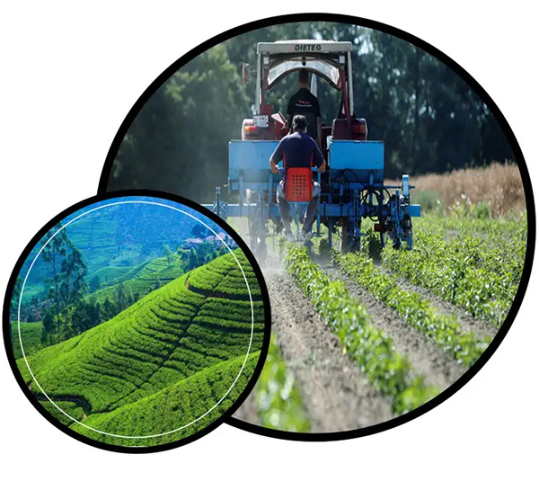 Agricultural fertilizer manufacturer