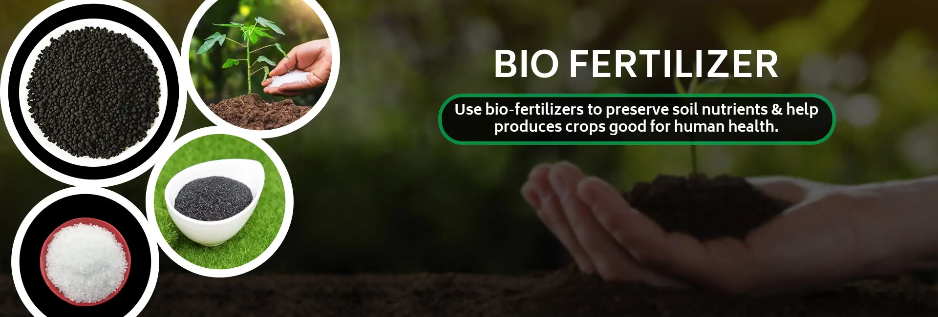 Bio fertilizer Exporter