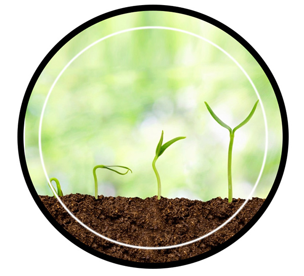 Bio Plant Growth Promoter in rajkot