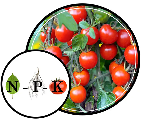 NPK fertilizer manufacturer