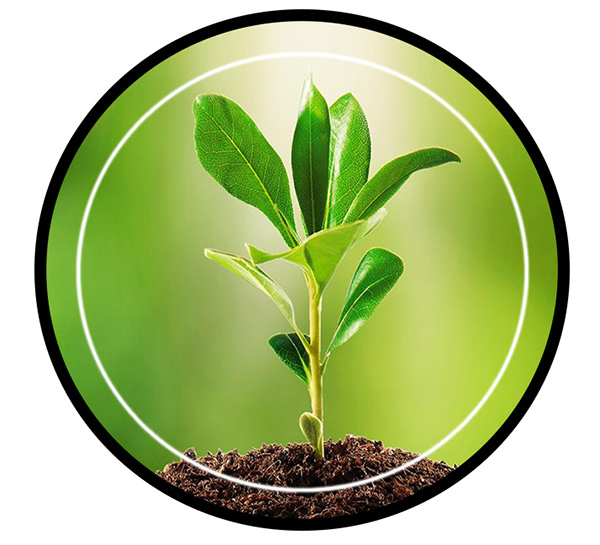 Plant Growth Regulator in patna