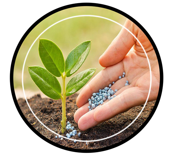Plant Nutrient manufacturer in amritsar